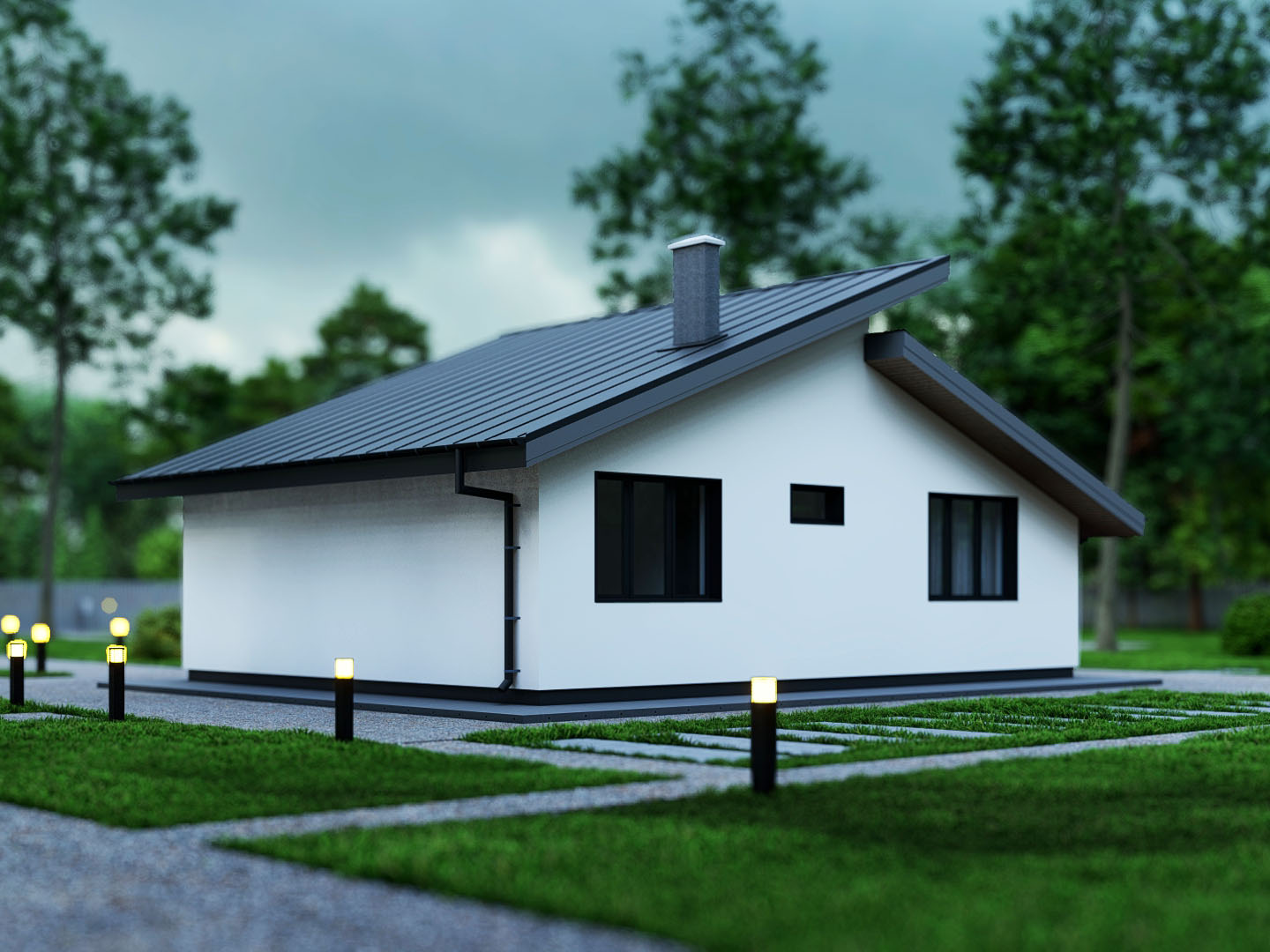 Zdjęcie 1 projektu APS 401 LUA1454
